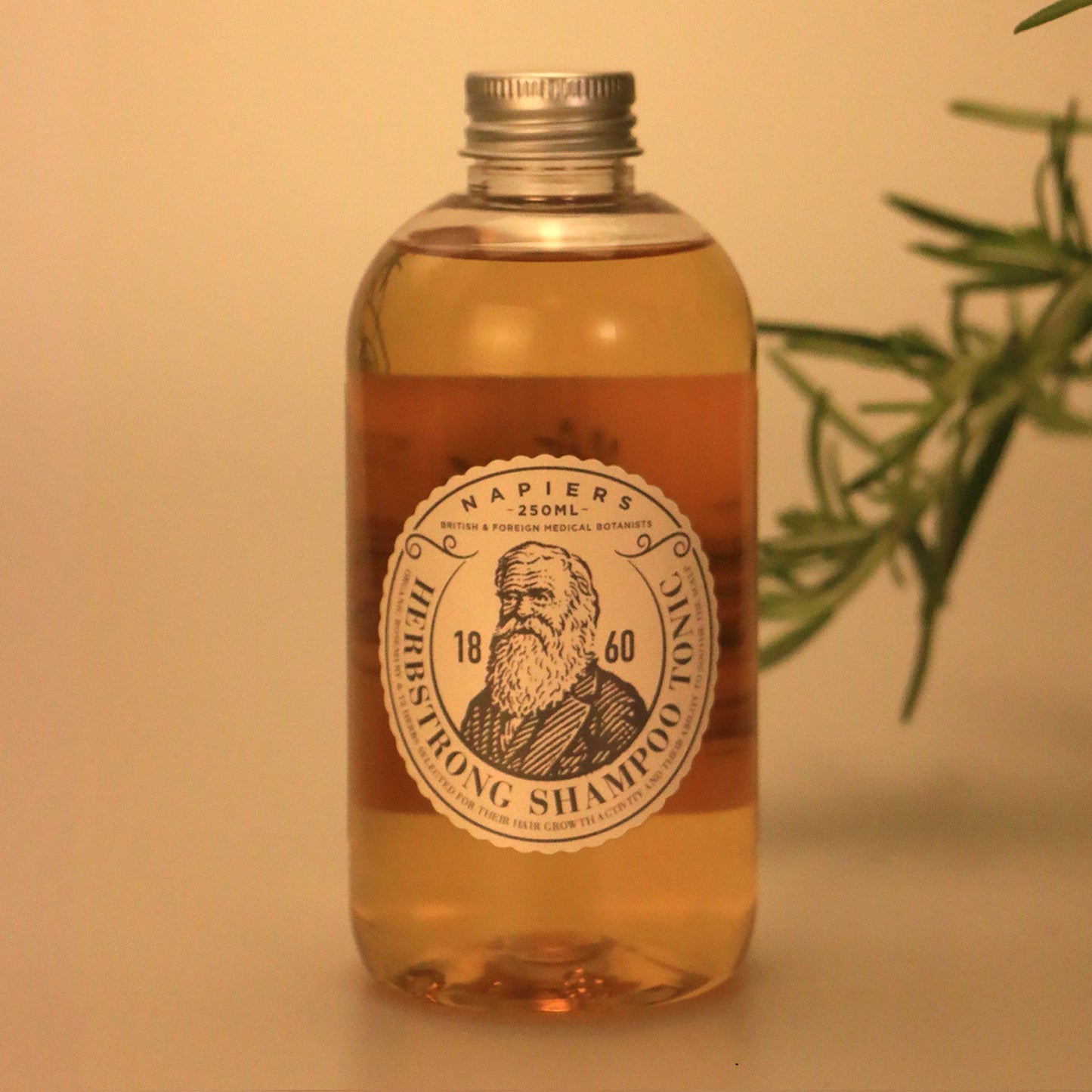 Napiers Herbstrong Shampoo Tonic 250ML